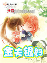金夫银妇小说