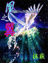 凰之翼小说