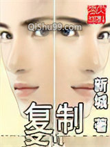 复制小说