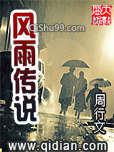 风雨传说小说