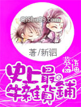 史上最牛杂货铺小说