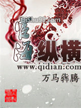 宦海纵横小说