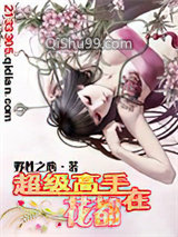 超级高手小说