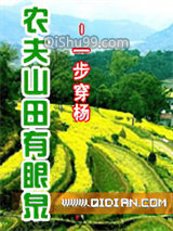 农夫山田有眼泉小说