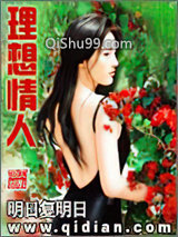理想情人小说