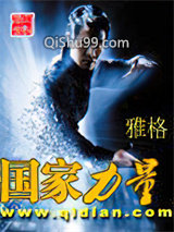 国家力量小说