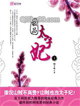 极品太子妃小说