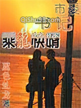 市委书记的乘龙快婿小说