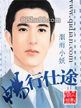 畅行仕途小说