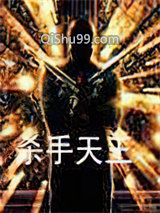 杀手天王小说