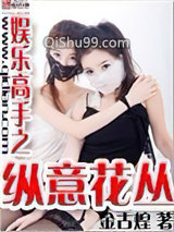娱乐高手之纵意花丛小说