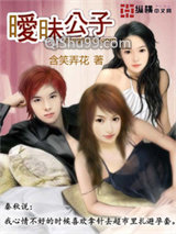 暧昧公子小说