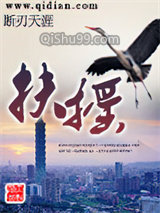 扶摇小说