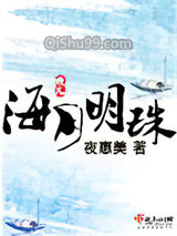 海月明珠小说