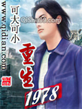 重生1978小说