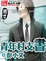 青年村支书小说