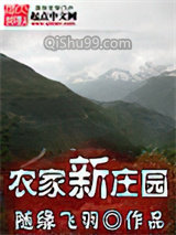 农家新庄园小说