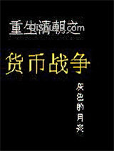 货币战争小说