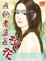 我的老婆是校花小说