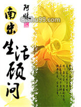 南宋生活顾问小说