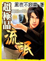 超极品流氓小说