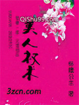 美人权术小说