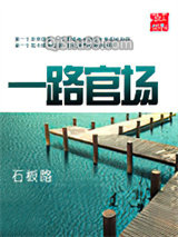 一路官场小说