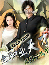 全职业天才小说