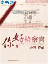 你好，检察官小说