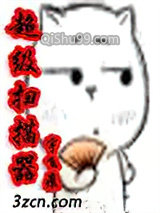 超级扫描器小说