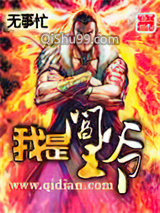 我是阎王爷小说