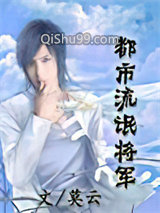 都市流氓将军小说