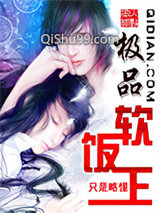 极品软饭王小说