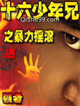 十六少年兄之暴力摇滚小说