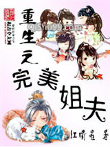 重生之完美姐夫小说