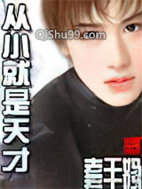 从小就是天才小说