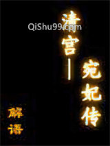 清宫——宛妃传小说