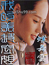 我的美丽空姐小说