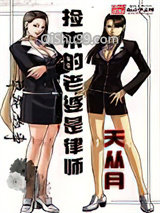 捡来的老婆是律师小说