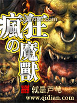 疯狂的魔兽小说