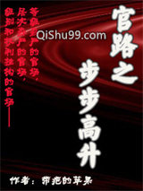 官路之步步高升小说