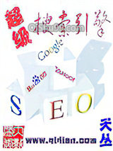 超级搜索引擎小说