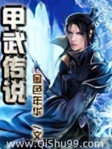 甲武传说小说