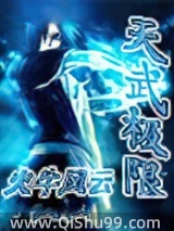 天武极限小说