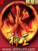 神火王小说