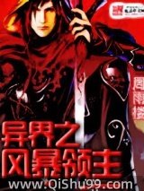 异界之风暴领主小说