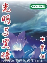 光明与黑暗小说