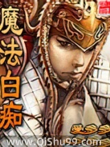 魔法白痴小说