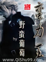 蛮力王小说