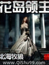 花岛领主小说